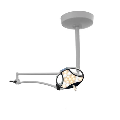 Luz de examen LED portátil