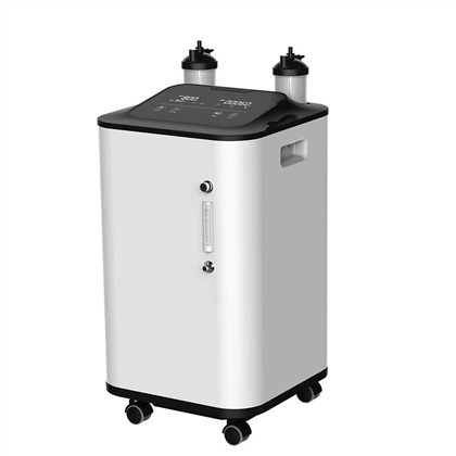Concentrador de oxígeno de 10L