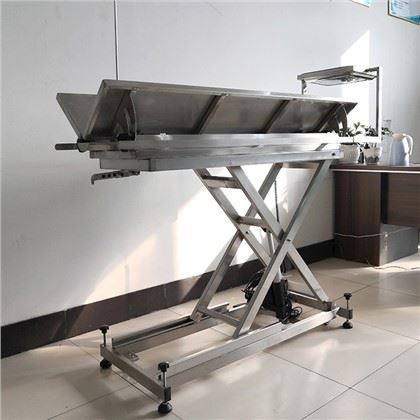 Mesa de operaciones veterinaria para perros