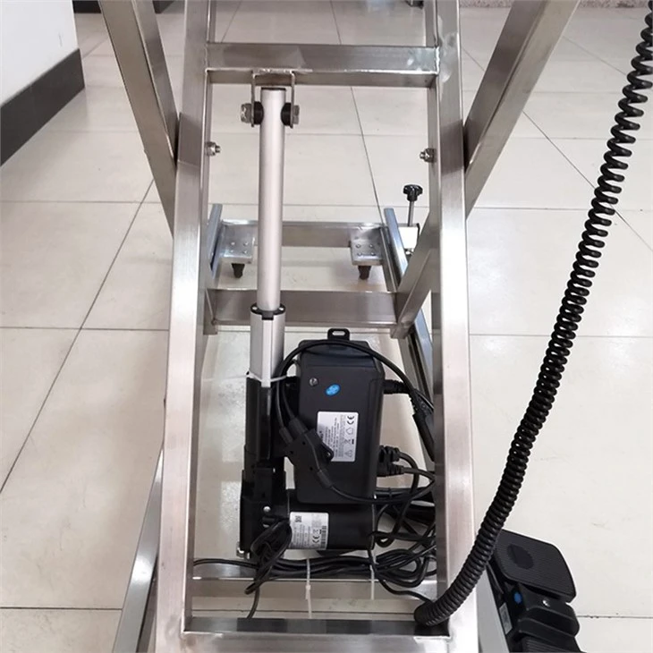 Electric Surgical Table For Dogs
